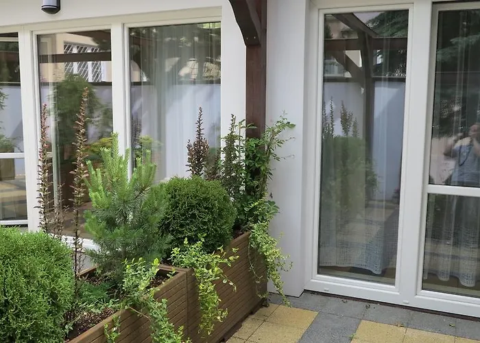 Rofel Goscinne ホームステイ *