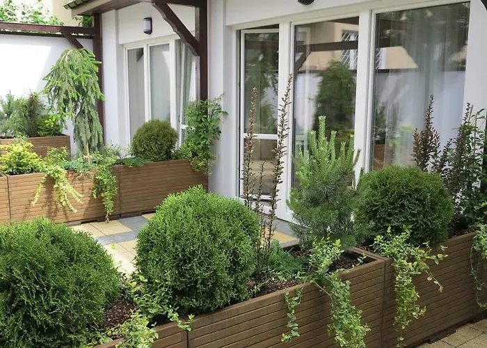 Rofel Goscinne Sopot